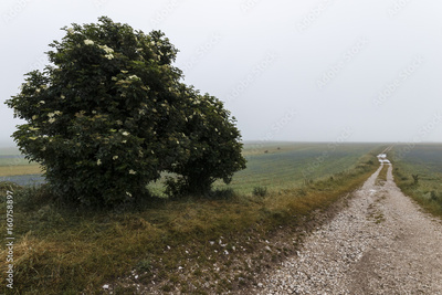 image to crop