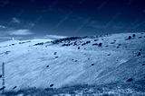 preview cold