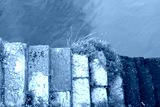 preview cold
