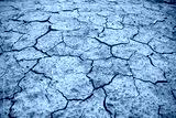 preview cold