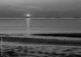 preview bw