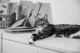 preview bw