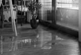 preview bw