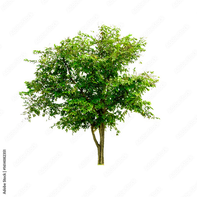 image to crop