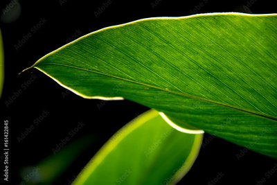 image to crop