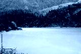 preview cold