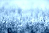 preview cold