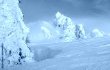 preview cold