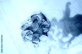 preview cold