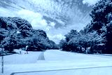 preview cold