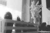 preview bw