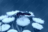 preview cold