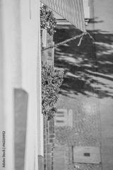 preview bw