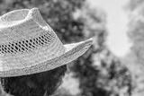 preview bw
