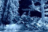 preview cold
