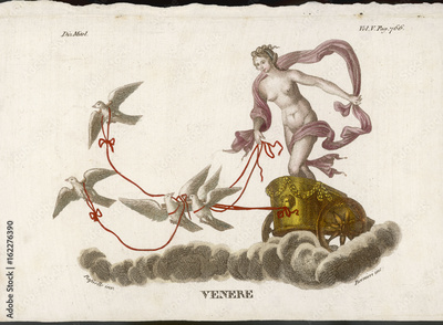 image to crop