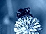 preview cold