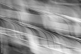 preview bw