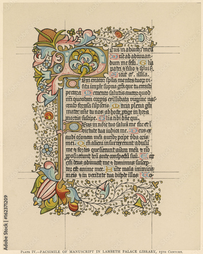 image to crop