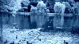 preview cold