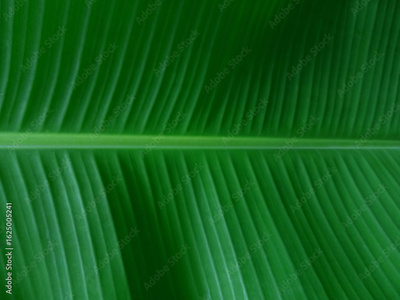 image to crop
