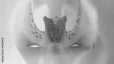 preview bw