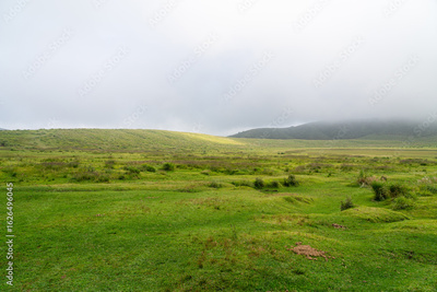 image to crop