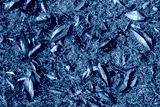 preview cold