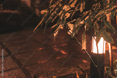 image to crop