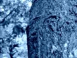 preview cold