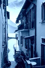 preview cold