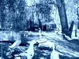 preview cold