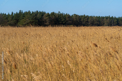 image to crop