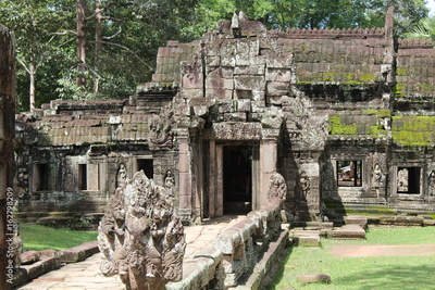 image to crop