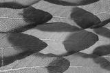 preview bw