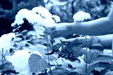 preview cold
