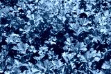 preview cold