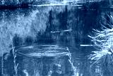 preview cold