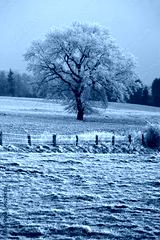 preview cold