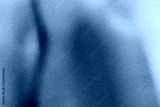 preview cold