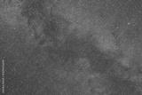 preview bw