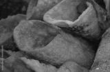 preview bw
