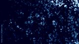 preview cold