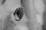 preview bw