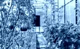 preview cold