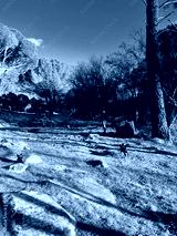 preview cold