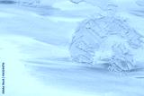 preview cold