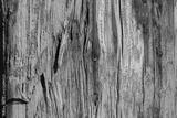 preview bw