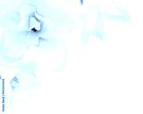 preview cold