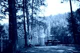 preview cold